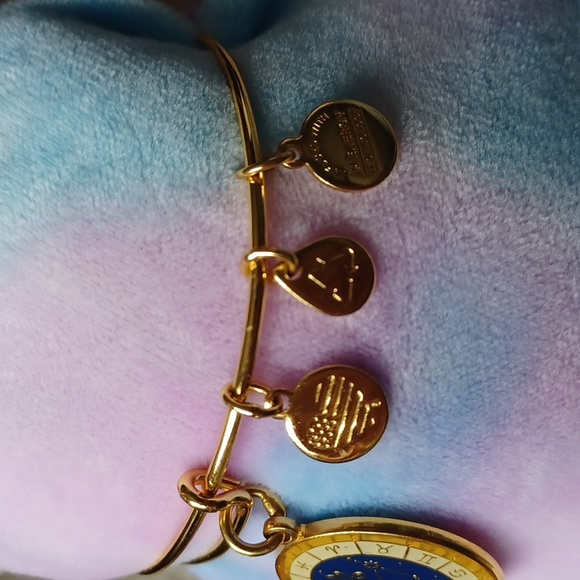 Capricorn Celestial Wheel expandable bangle by Alex and Ani RARE/DISCONTINUED - Picture 4 of 12
